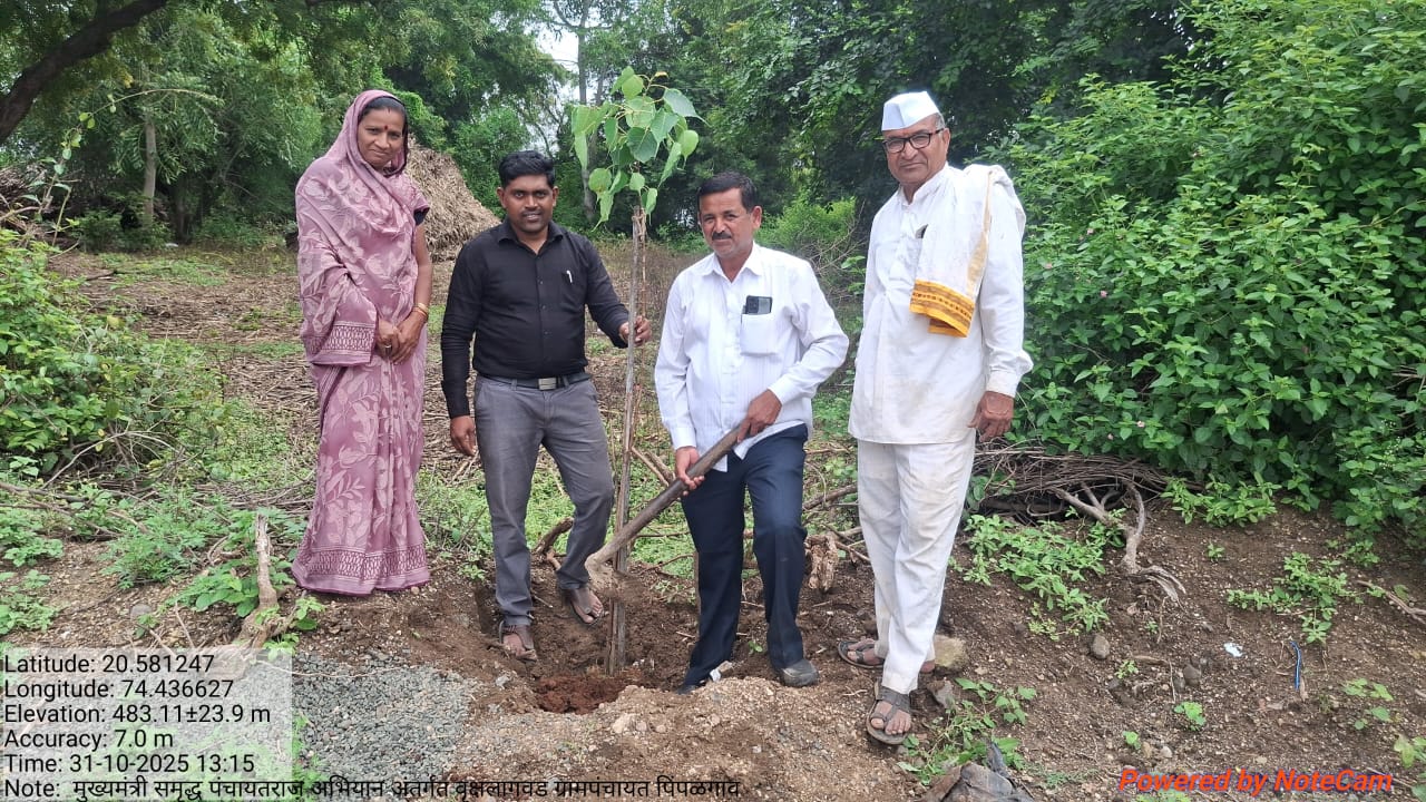 मुख्यमंत्री समृद्ध पंचायतराज अभियान अंतर्गत पिंपळगाव येथे वृक्षारोपण करण्यात आले